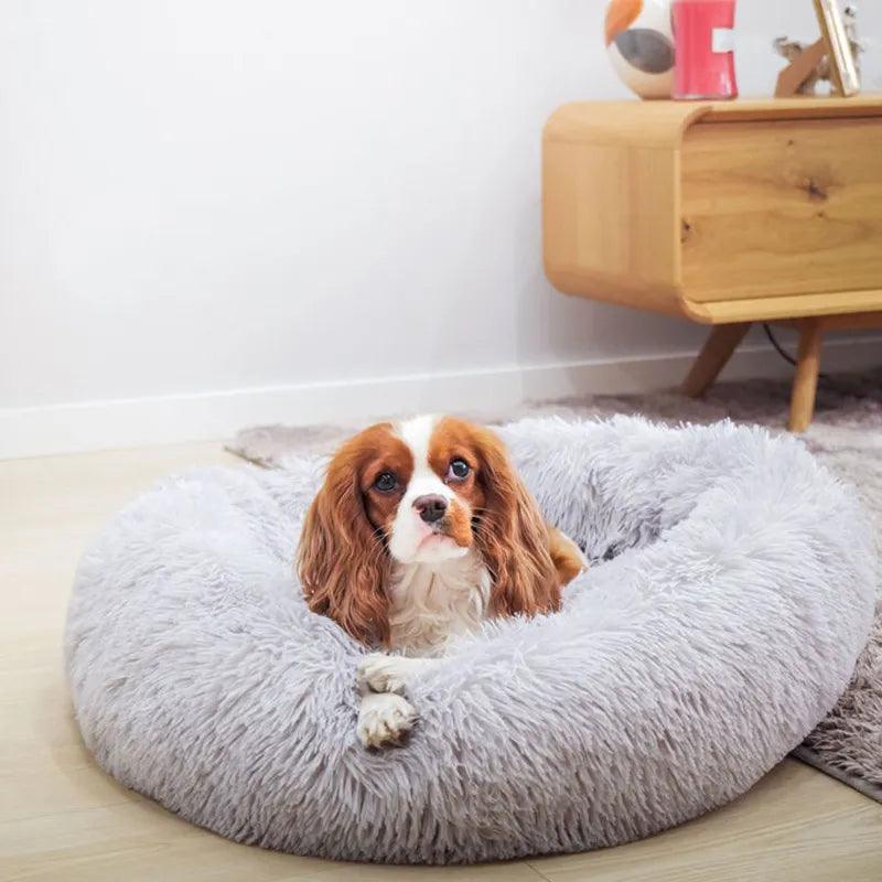 Cama para Cachorro e Gatos Super Macia e Confortável, Pelúcia