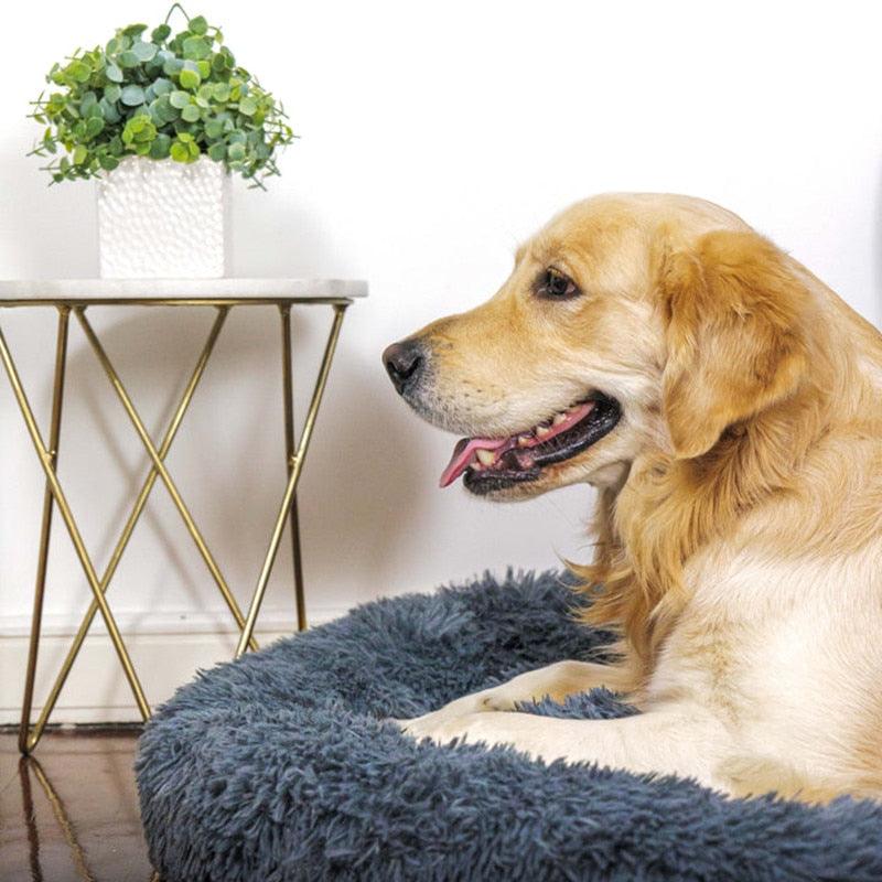 Cama para Cachorro e Gatos Super Macia e Confortável, Pelúcia