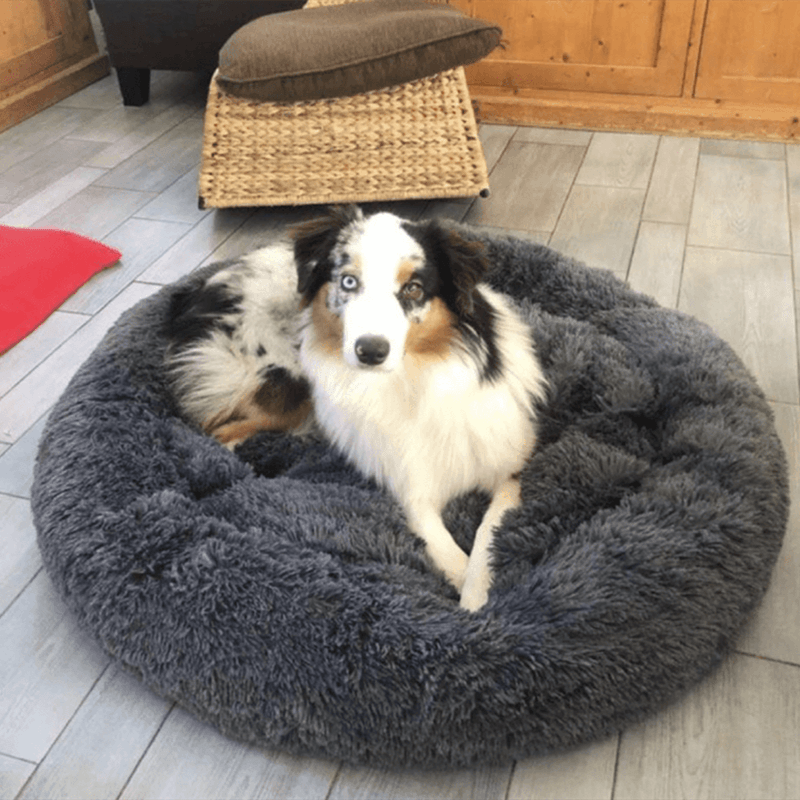 Cama para Cachorro e Gatos Super Macia e Confortável, Pelúcia